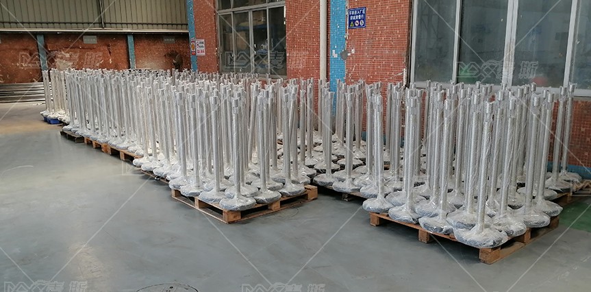 【MAX】&南非運動會