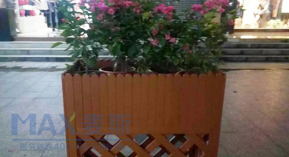 【廣東項目】麥斯產品落戶陽山步行街獲首肯