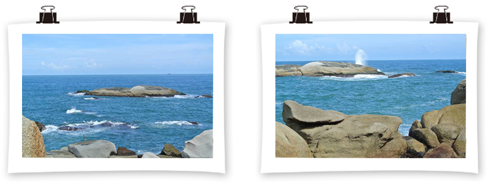 2014年麥斯紅海灣夏日風情之旅