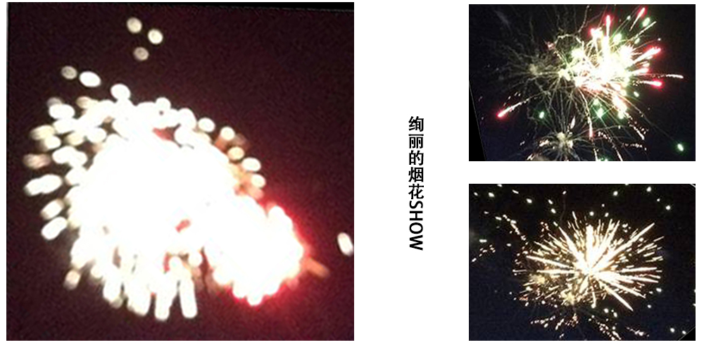 2014年麥斯紅海灣夏日風情之旅