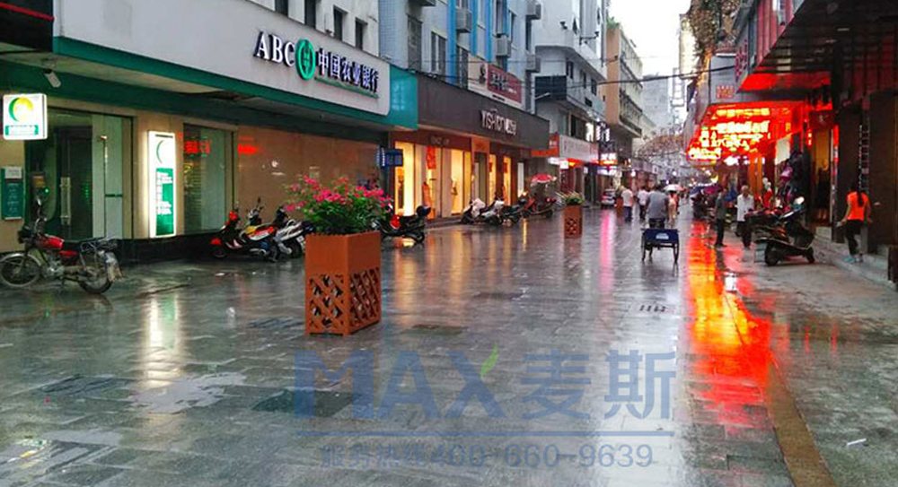 【廣東項目】麥斯產品落戶陽山步行街獲首肯