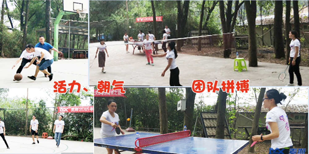 麥斯2018年大夫山春游踏青之旅